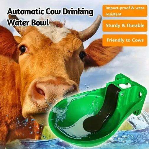 Cow or Horse Drinking Bowl-Automatic