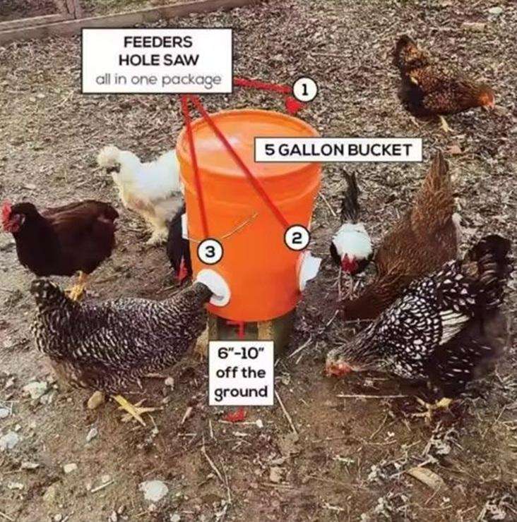 DIY Chicken Feeder Kit