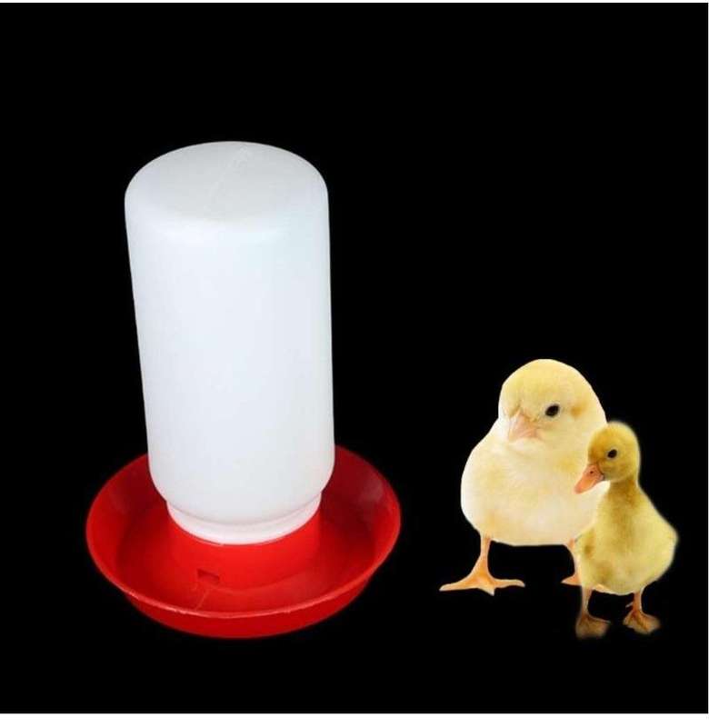 Chicken Drinker and Feeder Combo set