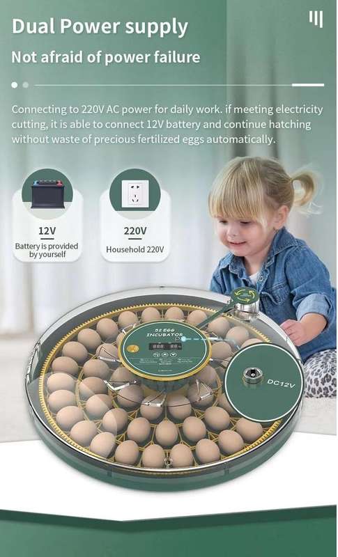 52 Egg Incubator -Dual Power