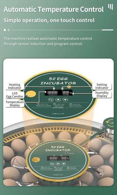 52 Egg Incubator -Dual Power
