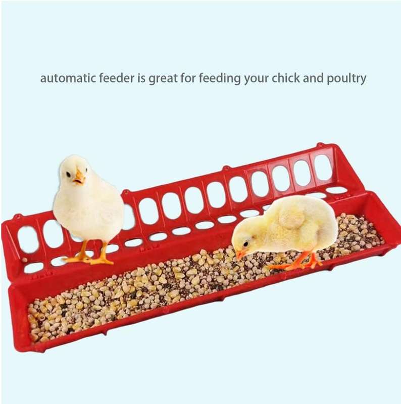Red Hinged Chicken Feeder-50 cm long,28-hole plastic food dispenser. Pack of 5