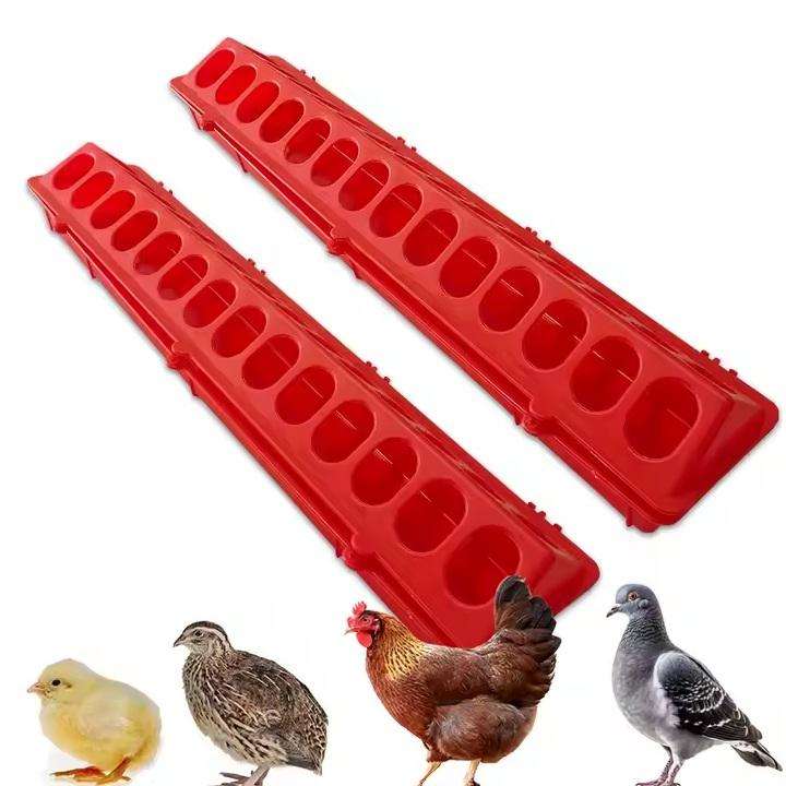 Red Hinged Chicken Feeder-50 cm long,28-hole plastic food dispenser. Pack of 5