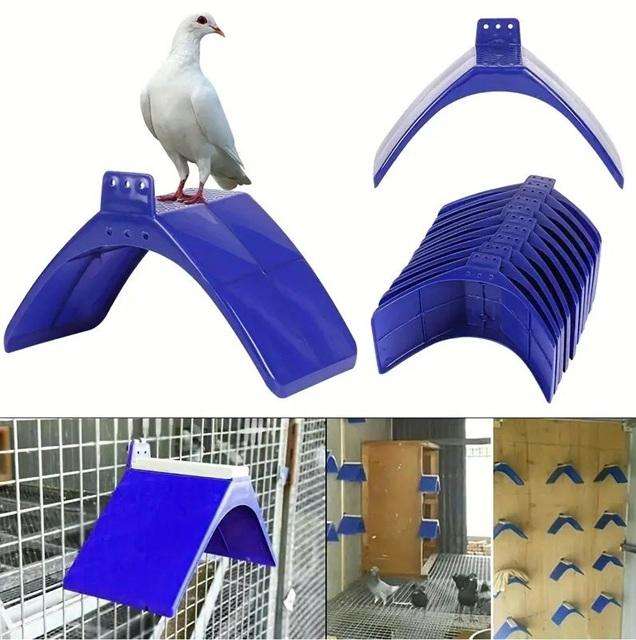 Pigeon Perches-Pack of 10