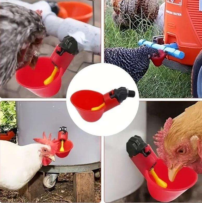 Poultry Drinking Cups