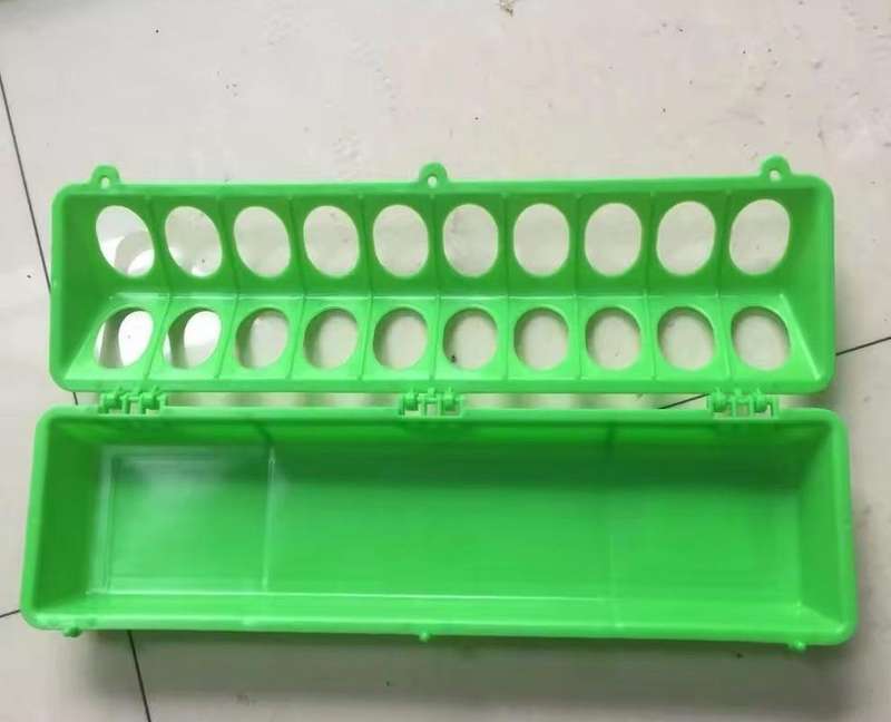 Poultry Feeder, Drinker and Feeding Scoop Combo