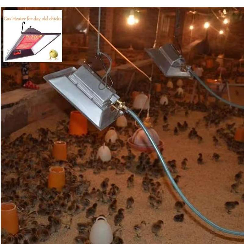 Poultry Gas Heater pack of 2