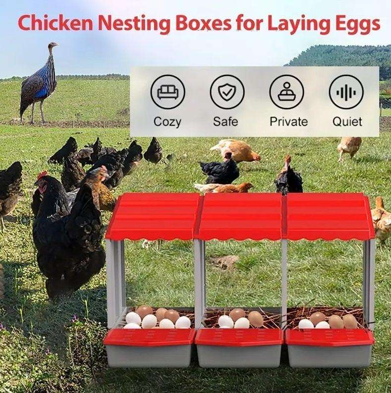 Chicken Nesting Boxes-3 Compartments -Red