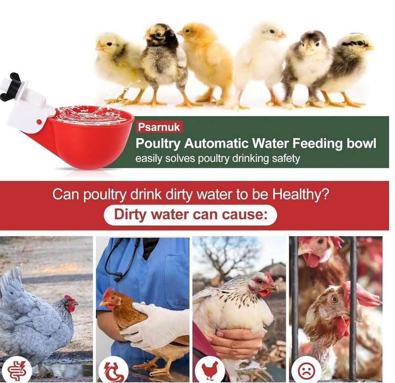Smooth Chicken Waterer Cups-15 Pieces