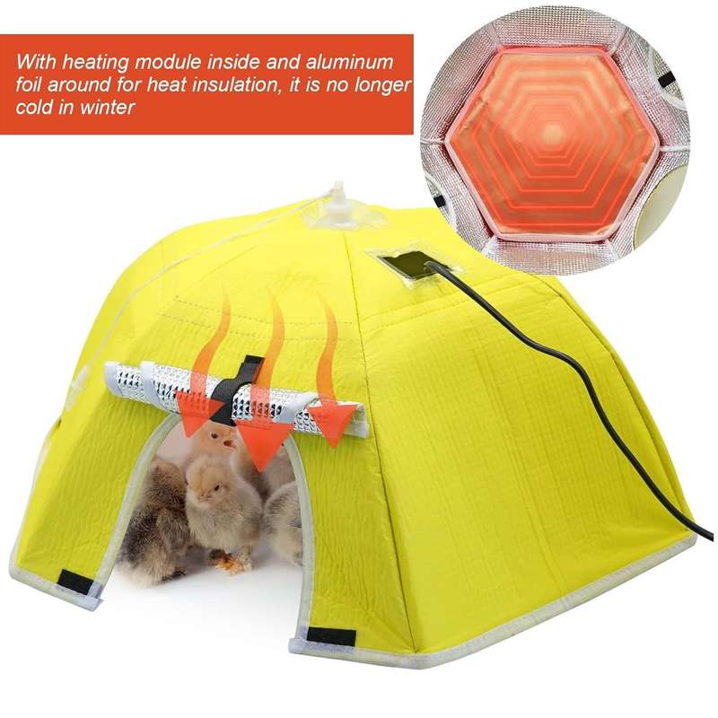 Yellow Umbrella Chick Brooder