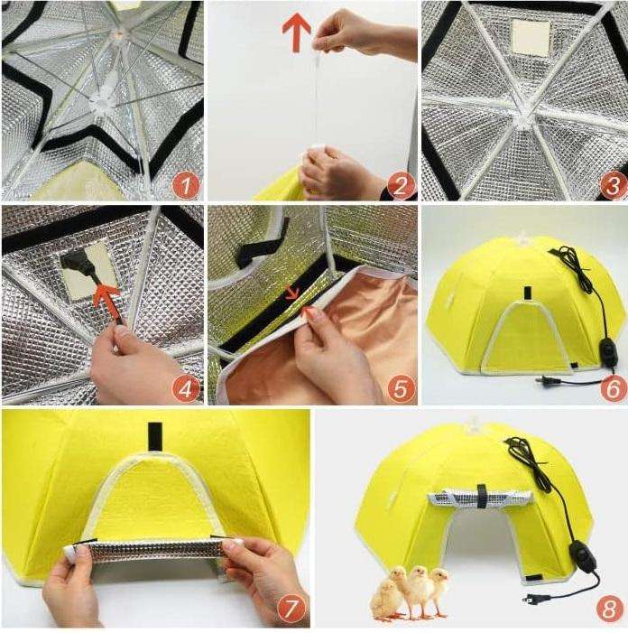 Yellow Umbrella Chick Brooder