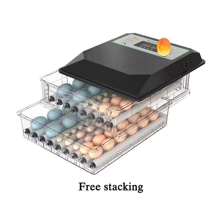 128 Egg Incubator -Dual Power