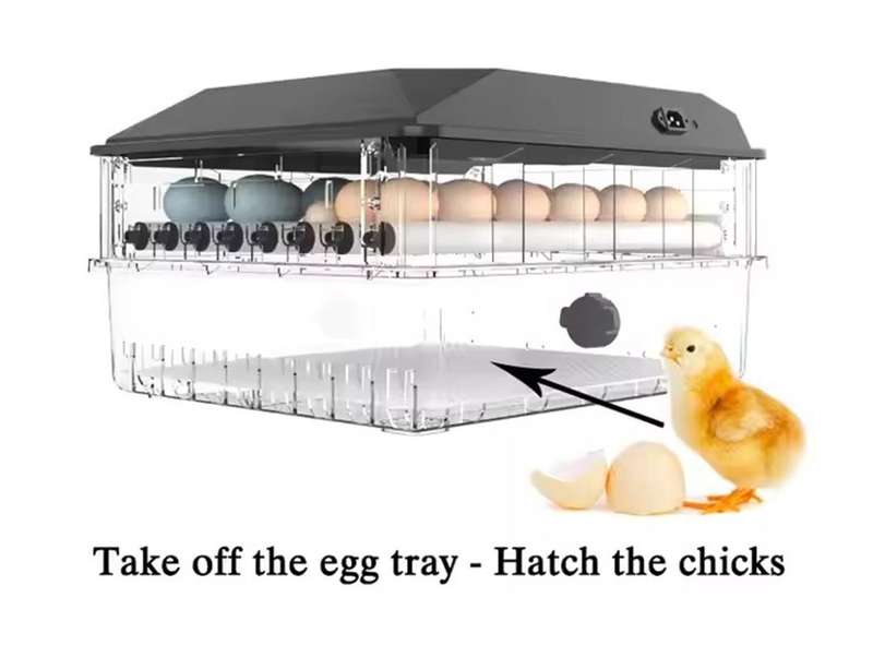 128 Egg Incubator -Dual Power