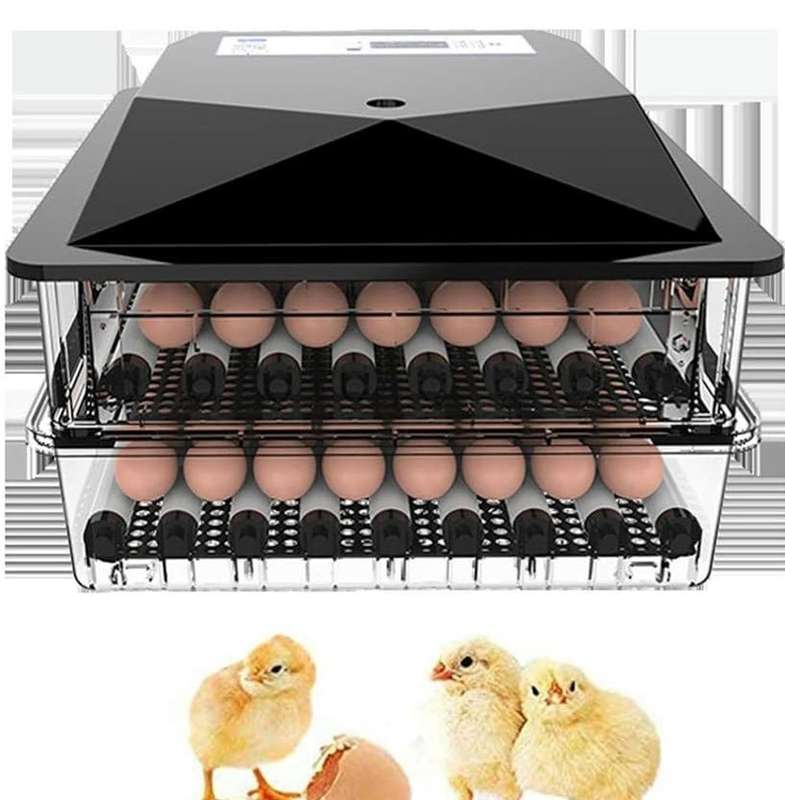 128 Egg Incubator -Dual Power