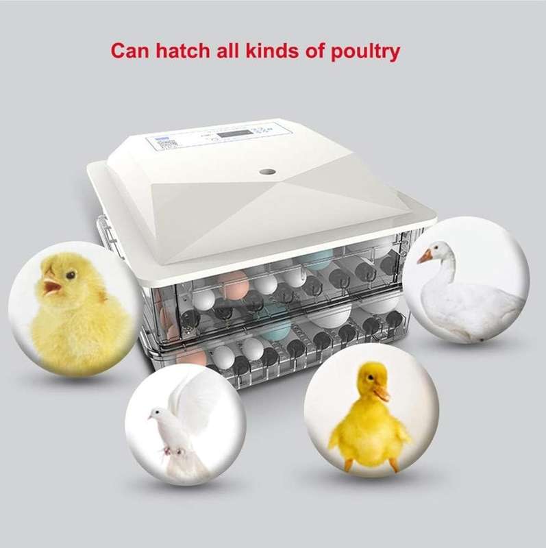 128 Egg Incubator -Dual Power