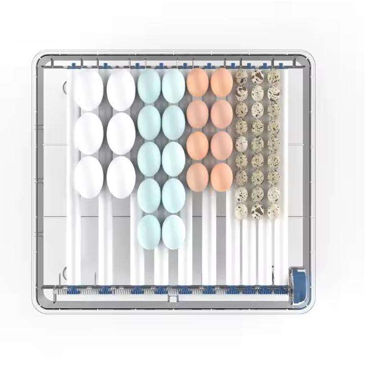 64 Automatic Egg Roller Incubator