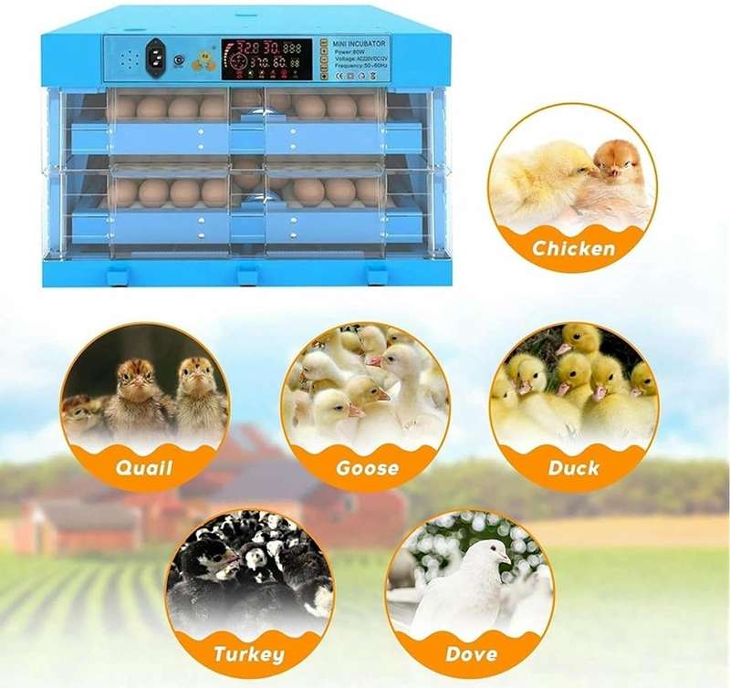 Blue 128 Egg Incubator -Dual Power
