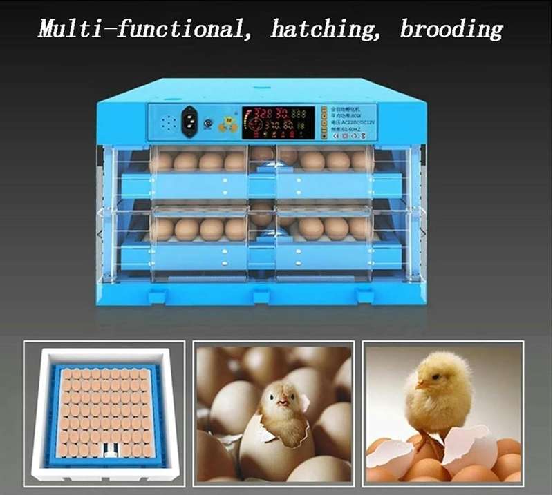 Blue 128 Egg Incubator -Dual Power