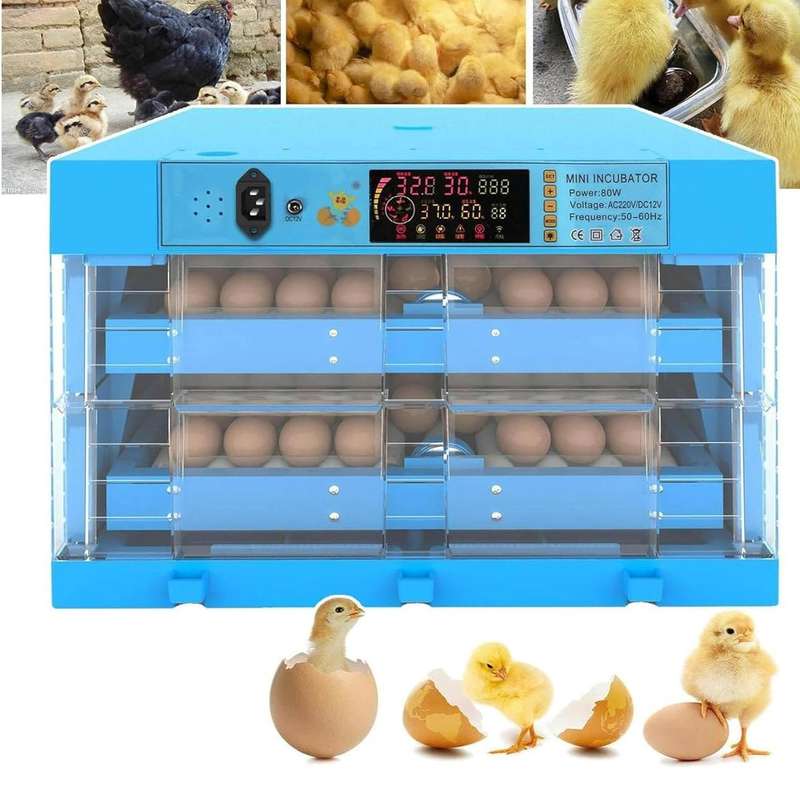 Blue 128 Egg Incubator -Dual Power