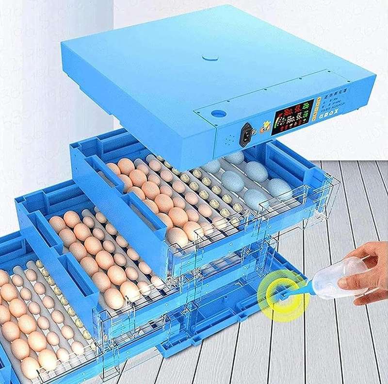 Blue 128 Egg Incubator -Dual Power
