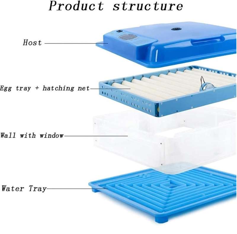 Blue 256 Egg Incubator-Dual Power