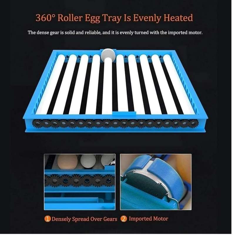 Blue 256 Egg Incubator-Dual Power