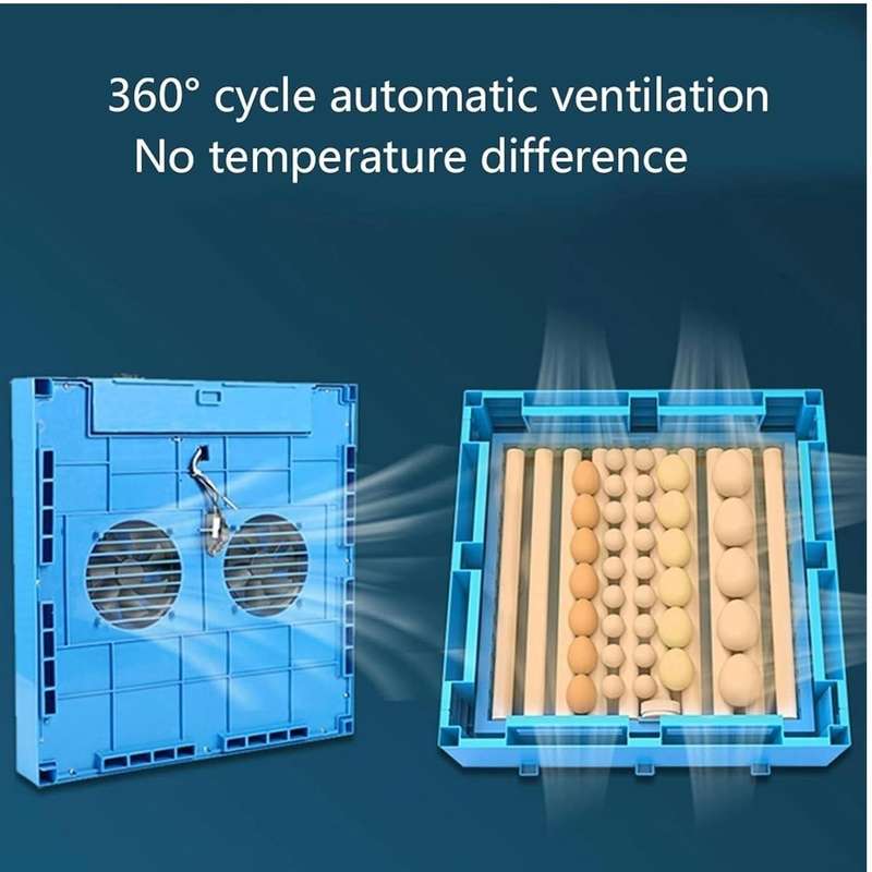 Blue 256 Egg Incubator-Dual Power