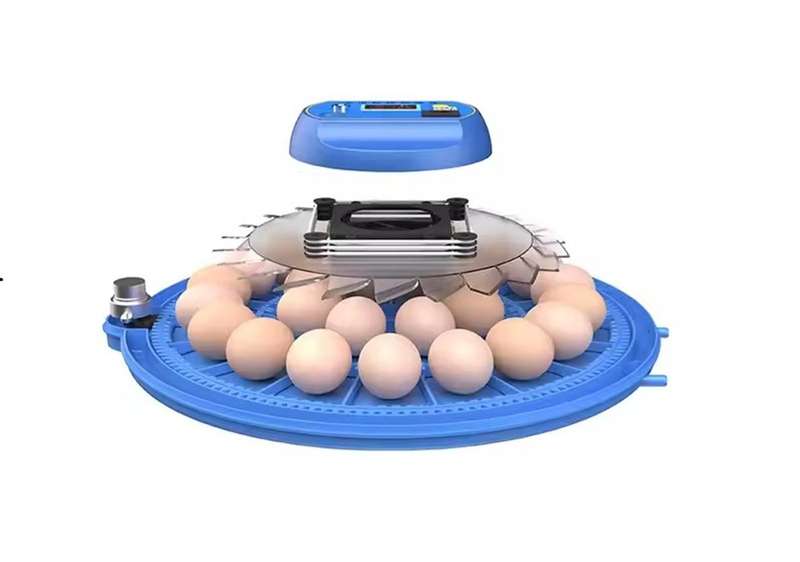 Round Blue 52 Egg Incubator -Dual Power
