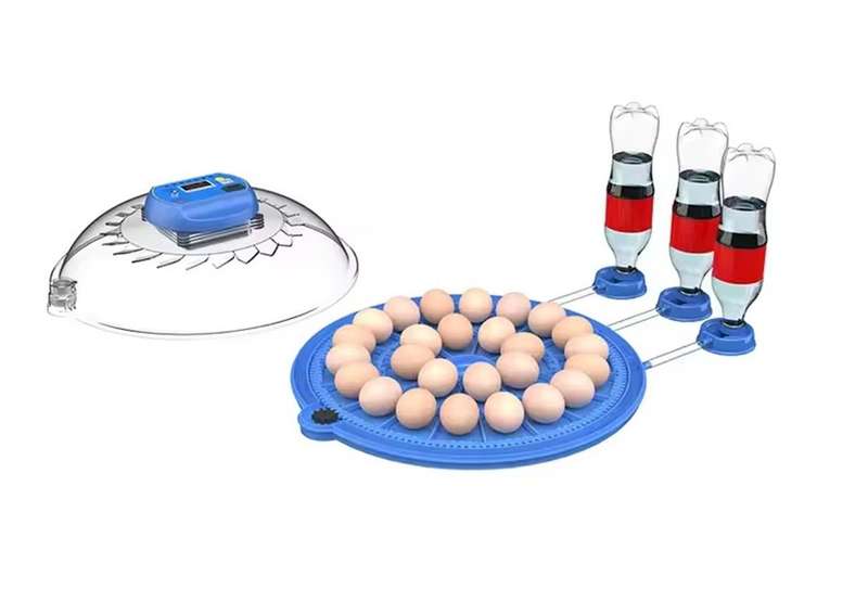 Round Blue 52 Egg Incubator -Dual Power