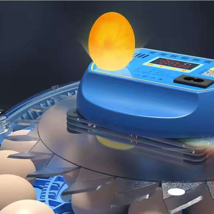 Round Blue 52 Egg Incubator -Dual Power