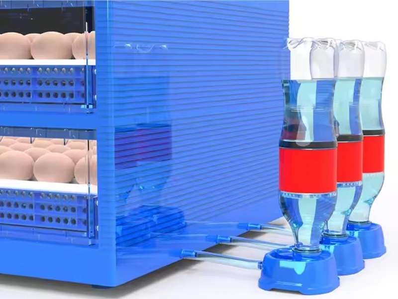 Big Blue 256 Egg Incubator-Dual Power
