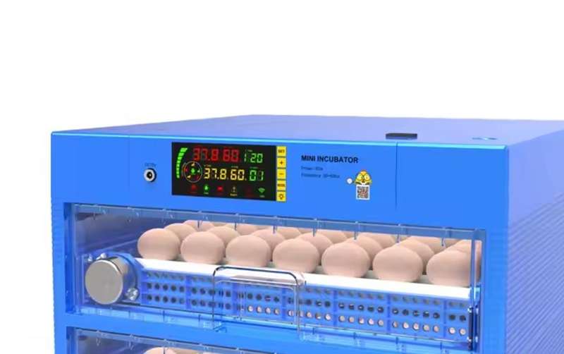 Big Blue 256 Egg Incubator-Dual Power