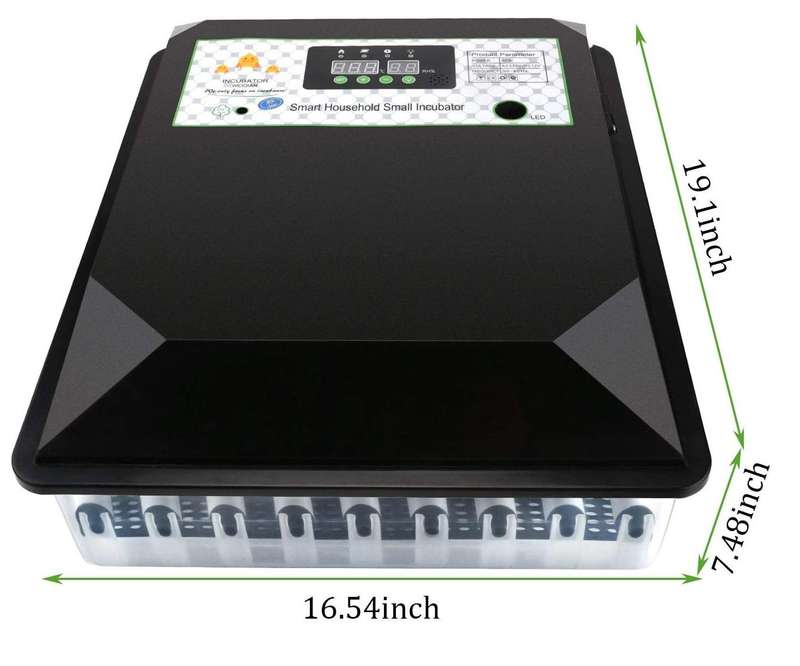 64 Egg Incubator-Dual Power