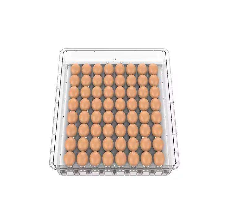 64 Egg Incubator-Dual Power