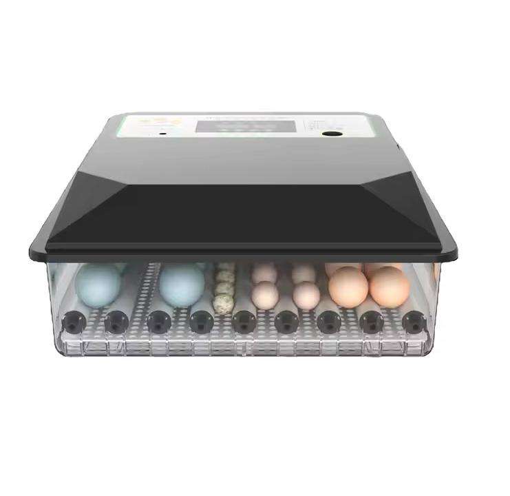 64 Egg Incubator-Dual Power