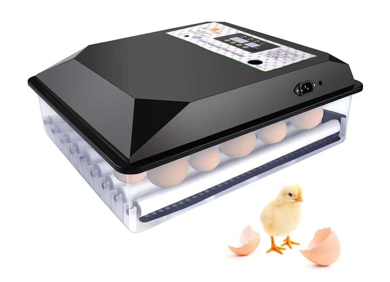64 Egg Incubator-Dual Power