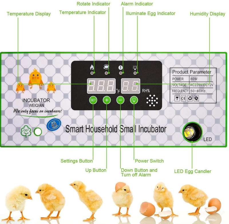 64 Egg Incubator-Dual Power
