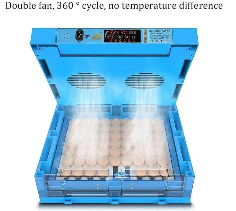 Blue 64 Egg Incubator-Dual Power