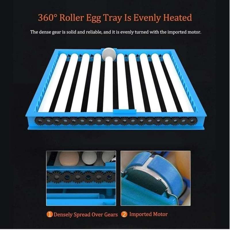 Blue 64 Egg Incubator-Dual Power