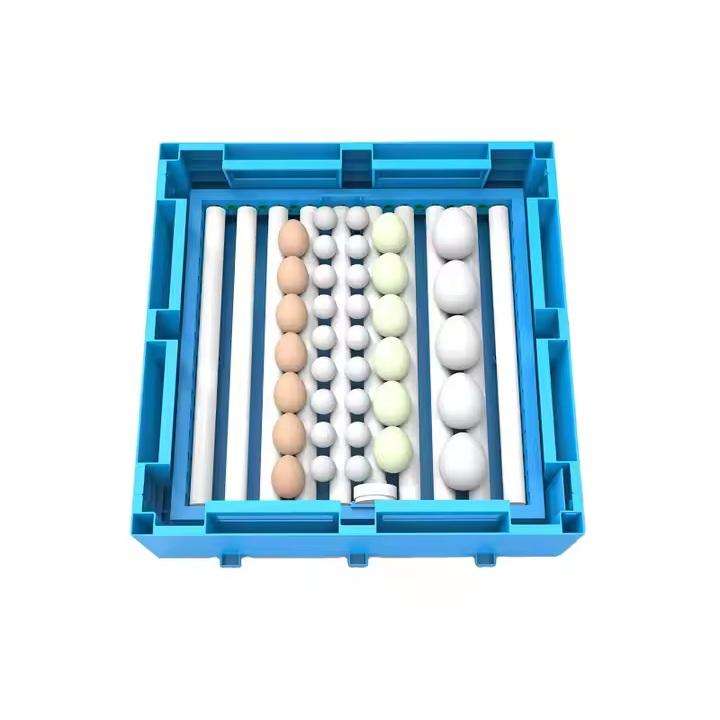 Blue 64 Egg Incubator-Dual Power