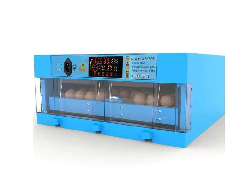 Blue 64 Egg Incubator-Dual Power