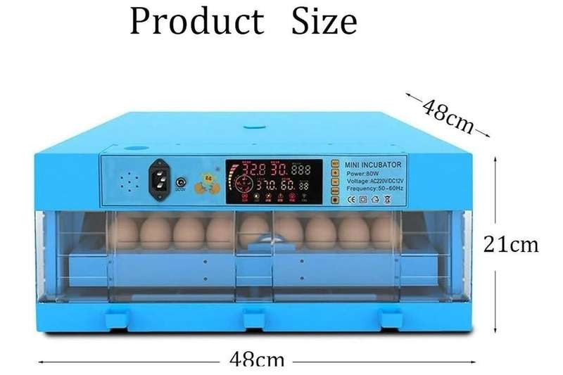 Blue 64 Egg Incubator-Dual Power