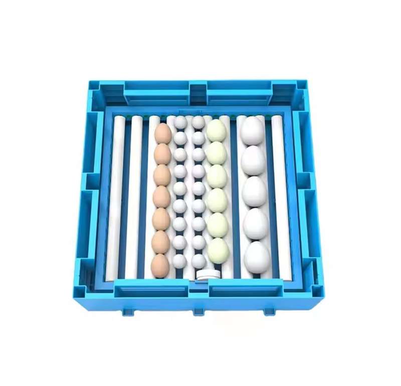 Blue 320 Egg Incubator-Dual Power