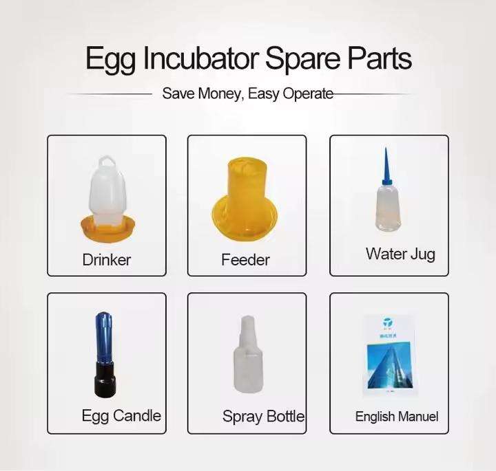 Blue 320 Egg Incubator-Dual Power