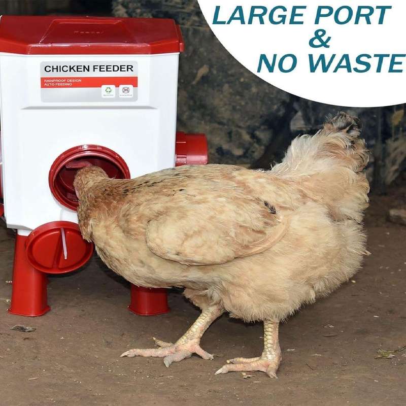 Automatic Chicken Feeder -8kg