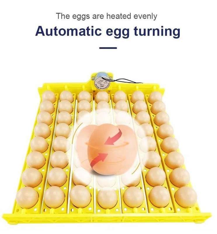 56 Egg Incubator