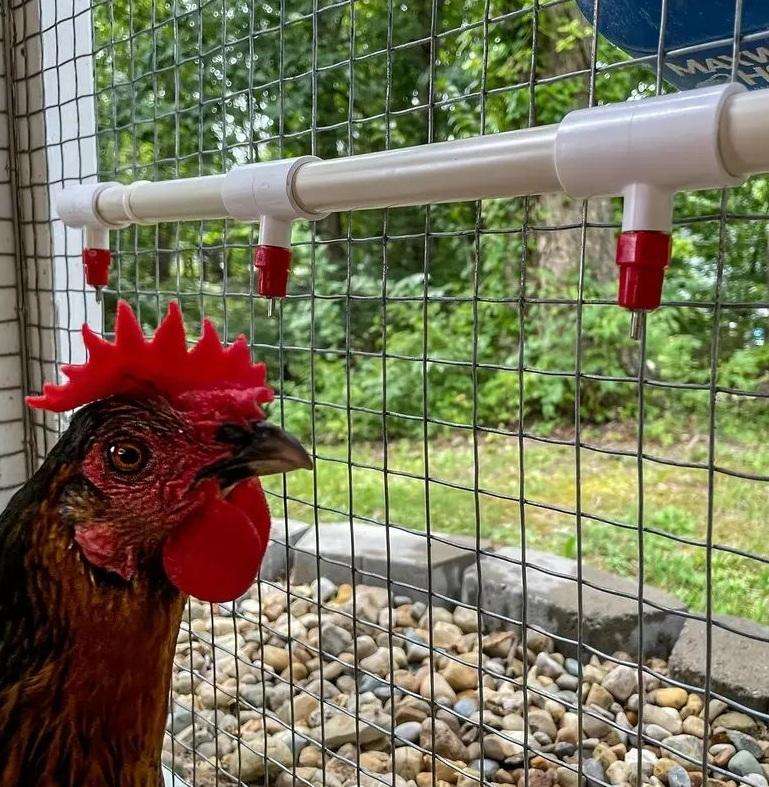 Chicken Waterer Nipples with PVC Tee Fittings-10 Pieces