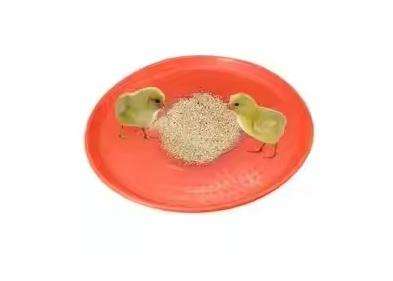 Chicken Feeder Plates -Pack of 3 .Red.