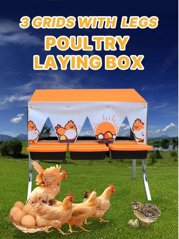 Chicken Nesting Boxes on Legs