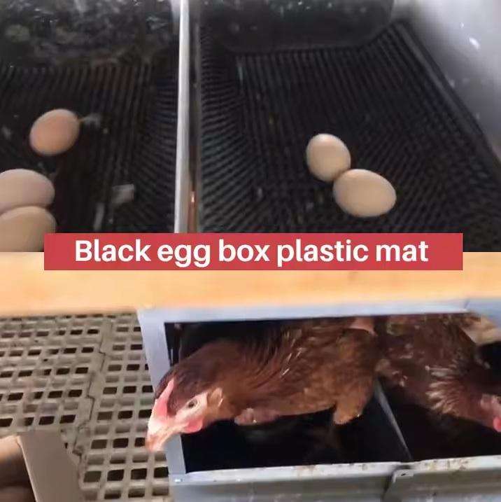 Chicken Nesting Matresses-Pack of 5